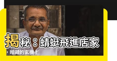 蜻蜓飛進店裡|【家裡飛進蜻蜓】家裡飛進蜻蜓，代表好運還是厄運？揭密蜻蜓飛。